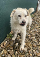 /album/113/584887892-1247027287471244-5773165165074444693-n-jpg/