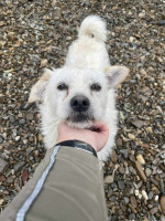 /album/113/585333548-1247027274137912-4990998461796533348-n-jpg/