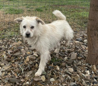 /album/113/584516002-1247027157471257-2205233624743724174-n-jpg/