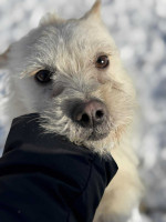 /album/15-01-2026/615883344-1291787079661931-8424748529728936389-n-jpg/