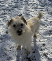 /album/15-01-2026/615804826-1291787089661930-7008545381684204268-n-jpg/