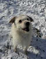 /album/15-01-2026/616036030-1291787096328596-3198403253958733002-n-jpg/