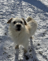 /album/15-01-2026/615710630-1291787122995260-6812859981367186676-n-jpg/