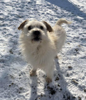 /album/15-01-2026/615800105-1291787072995265-9092435695285947430-n-jpg/