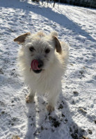 /album/15-01-2026/615662686-1291787019661937-7618031463562887388-n-jpg/