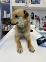 /album/214/dc9edc92-5e84-4ab0-81fc-1ebb3f564ead-jpeg/