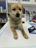 /album/214/68a8c0dd-5409-45a9-85fc-bdf33db8d489-jpeg/