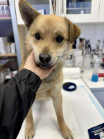 /album/214/aa174f8c-f81b-41de-a519-17c09653b2eb-jpeg/