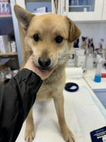 /album/214/e9efce43-4286-4e04-a437-007f9ee0540b-jpeg/