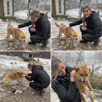 /album/214/213746fc-28fd-4c43-b703-6895f85626da-jpeg/