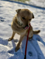 /album/16-01-2026/3c83cecc-8eae-47c2-a34a-a196e08528e6-jpeg/