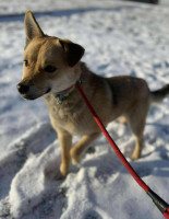 /album/16-01-2026/56f28196-f3ce-4ee3-8c9f-0f0f38e3c046-jpeg/