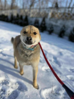 /album/16-01-2026/4c11713a-6fb7-4aa7-8991-ab3c5d866fac-jpeg/