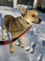 /album/16-01-2026/62e27256-6146-4a2d-ac43-76889e0a05bc-jpeg/