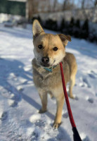 /album/16-01-2026/448b7ee1-b8f8-4a5c-9549-0390f322ac2e-jpeg/