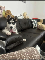 /album/116/615460106-1304062531753083-6450969402571020666-n-jpg/