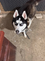 /album/116/615840721-1304062488419754-7259023710539084379-n-jpg/