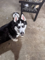 /album/116/615402852-1304062455086424-2766136161890130286-n-jpg/