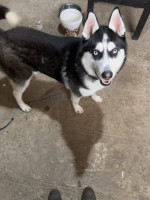 /album/116/615311496-1304062568419746-2245475891647263332-n-jpg/