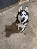 /album/116/615714851-1304062481753088-5983289379679023971-n-jpg/