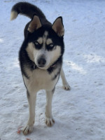 /album/116/617917719-1310120747813928-2773897362944859744-n-jpg/