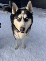 /album/116/618011821-1310120784480591-7459563883454832393-n-jpg/