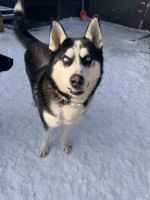 /album/116/618023888-1310120731147263-8281366010858711841-n-jpg/