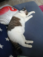 /album/13/bdb38e58-dce0-4314-b277-b781cc506c32-jpeg/