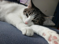 /album/13/9fb3ece4-48ac-47e6-ba36-746efd757344-jpeg/