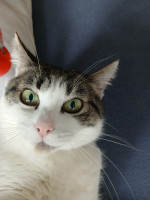 /album/13/66b810a4-16e2-4615-9bd8-6feb066ccaf0-jpeg/