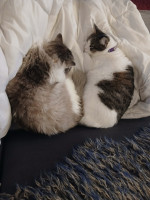 /album/13/804bbf6a-1dd2-48e2-8201-95ed20213791-jpeg/