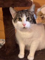 /album/13/608416870-1147000533962734-4197025125354080746-n-jpg/