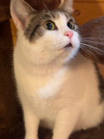 /album/13/610481729-2196301307853779-8189888572824135362-n-jpg/