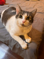 /album/13/608890391-1572362547376174-5076877299034232699-n-jpg/