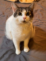 /album/13/608283798-1927909104824220-894737325163255105-n-jpg/