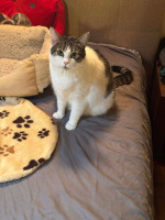 /album/13/608236155-1511009979982597-2189823998858398499-n-jpg/