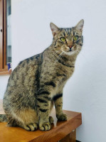 /album/28-01-2026/96bf8740-bcae-4d86-a470-7cf803ae90b4-jpeg/