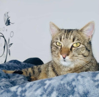 /album/28-01-2026/3206fa90-a3c0-4f15-9852-079b08199c9b-jpeg/