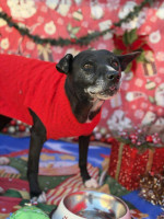 /album/161/621650063-1300817862092186-1065152641884125572-n-jpg/