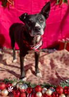 /album/161/622766483-1300817855425520-1905093990092104479-n-jpg/