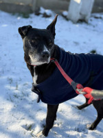 /album/161/621421184-1300817815425524-4975234088334171118-n-jpg/