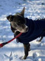 /album/161/621574807-1300817882092184-7089217593841658311-n-jpg/