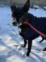 /album/161/622798159-1300817925425513-2829312608064356117-n-jpg/