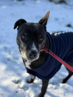 /album/161/622798263-1300817908758848-4234734339663237941-n-jpg/