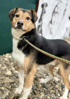 /album/01-02-2026/682c6c1e-045d-42ac-ab13-bf047dc966e5-jpeg/