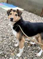 /album/01-02-2026/7673b0e2-f39e-4ae9-bd0d-2913543205f4-jpeg/