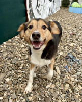 /album/01-02-2026/3659e586-e826-4ec8-b631-9af99b05501a-jpeg/