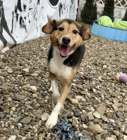 /album/01-02-2026/fa19fffe-d3fb-4e1f-8304-20618a695a75-jpeg/