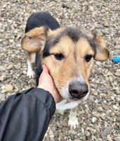 /album/01-02-2026/86d639e6-825a-43bb-ac52-9ca0e66135ff-jpeg/