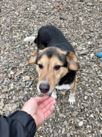 /album/01-02-2026/ab3fd21a-5a05-4849-a0d9-ffa6aaea7fae-jpeg/